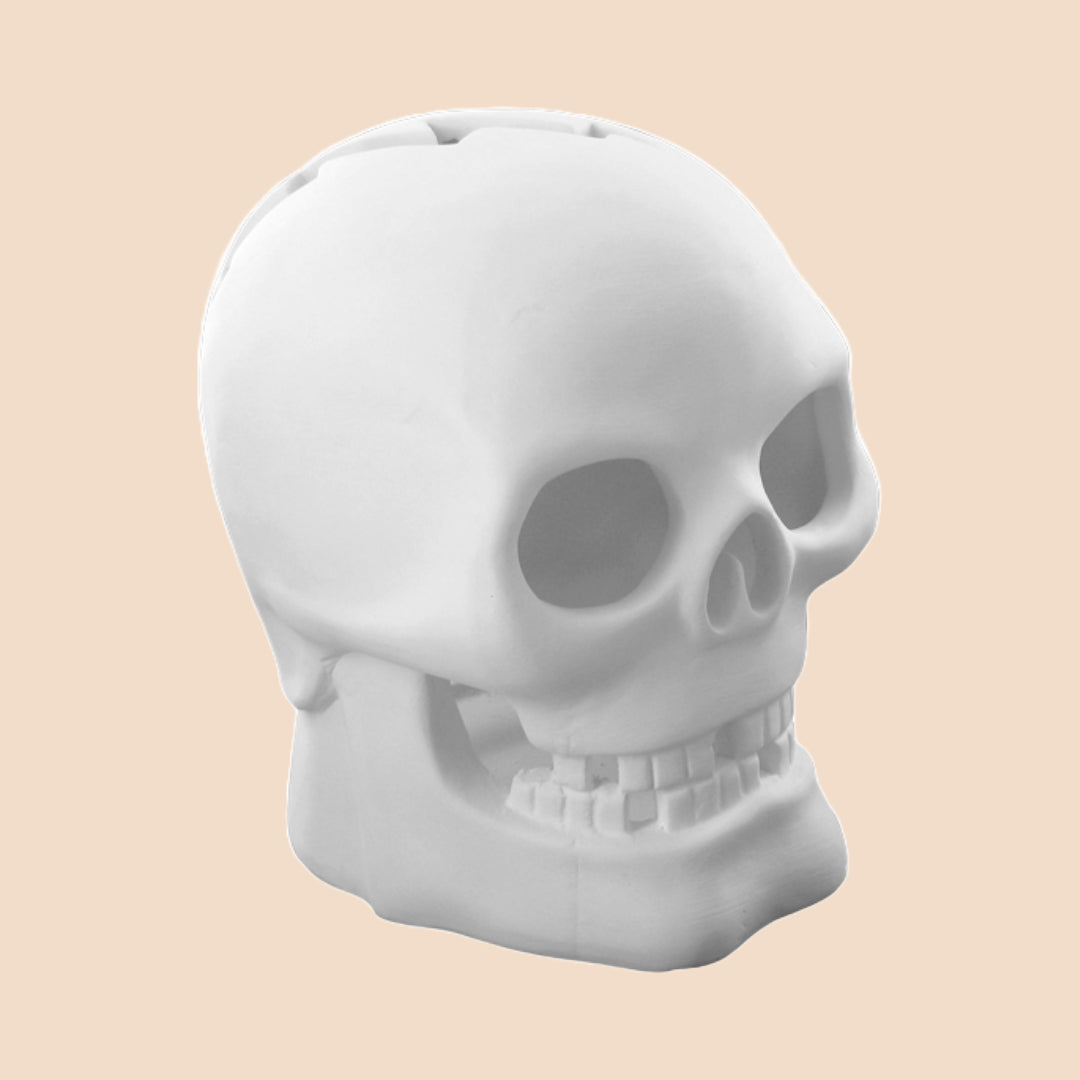 POT + Paint: Skull Lanterns