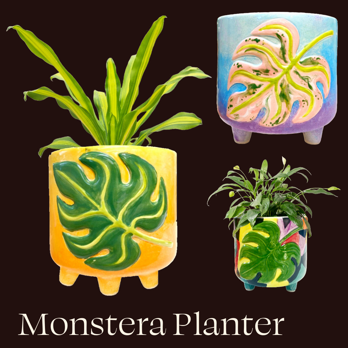 POT & Paint