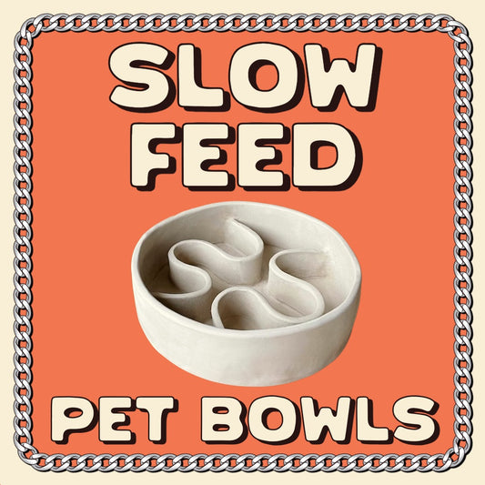 Slow Feed Pet Bowls